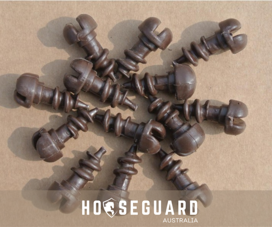 Dome Screw (14 Pack)